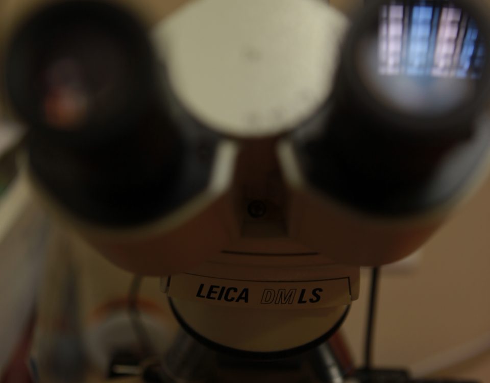 Cabinet Marcucci & Combes : Microscope à contraste de phase